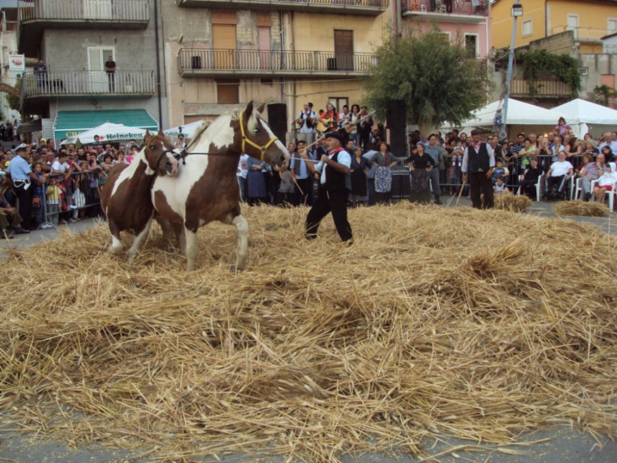 Raddusa, tutto pronto per la festa "Grano"